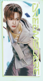 NCT DREAM - DREAMSCAPE (Vertical Flip Ver.)