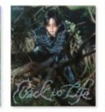 &TEAM - KR 1st Mini Album [Back to Life] ROAR Ver.