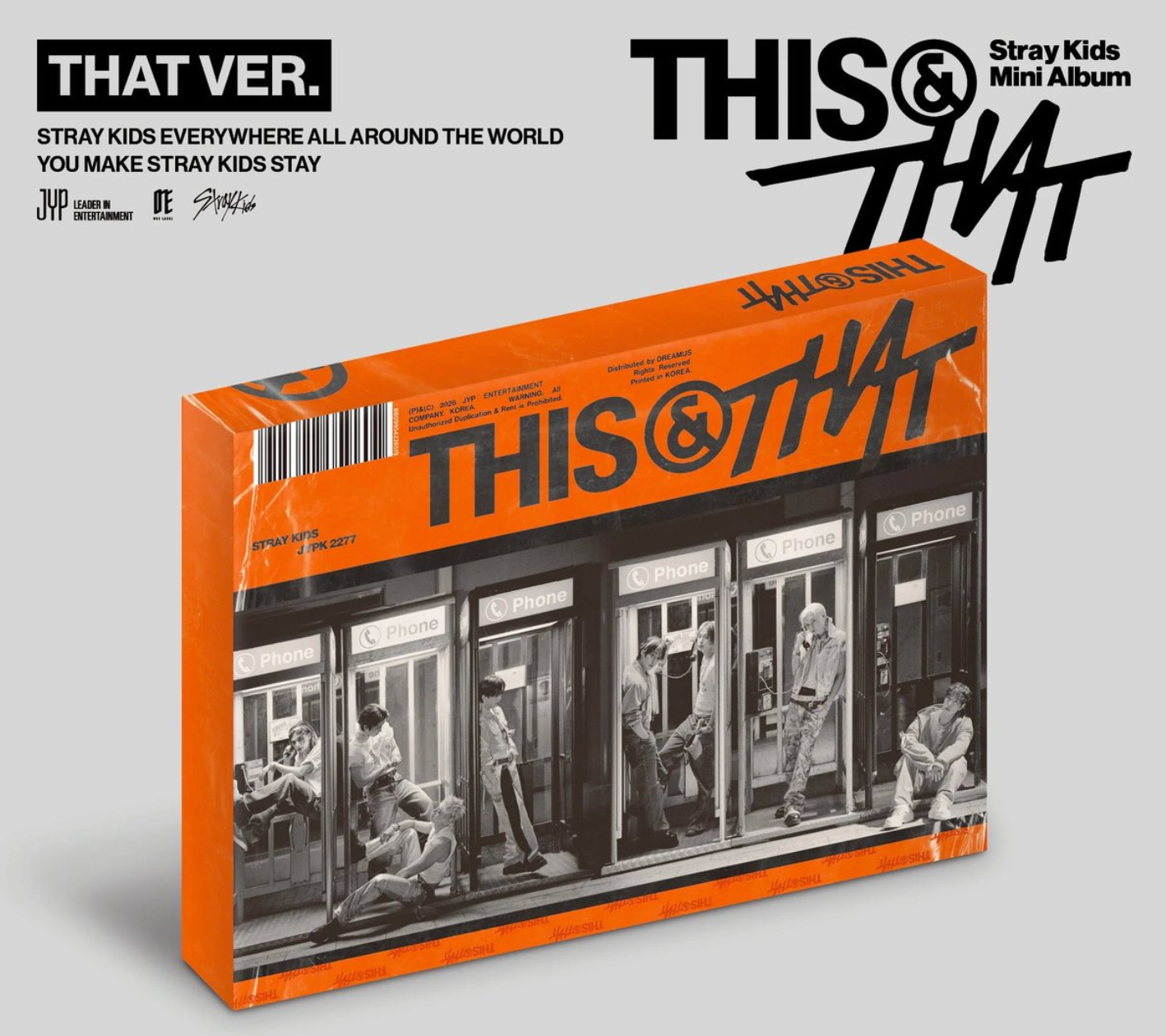 Stray Kids - [THIS & THAT]